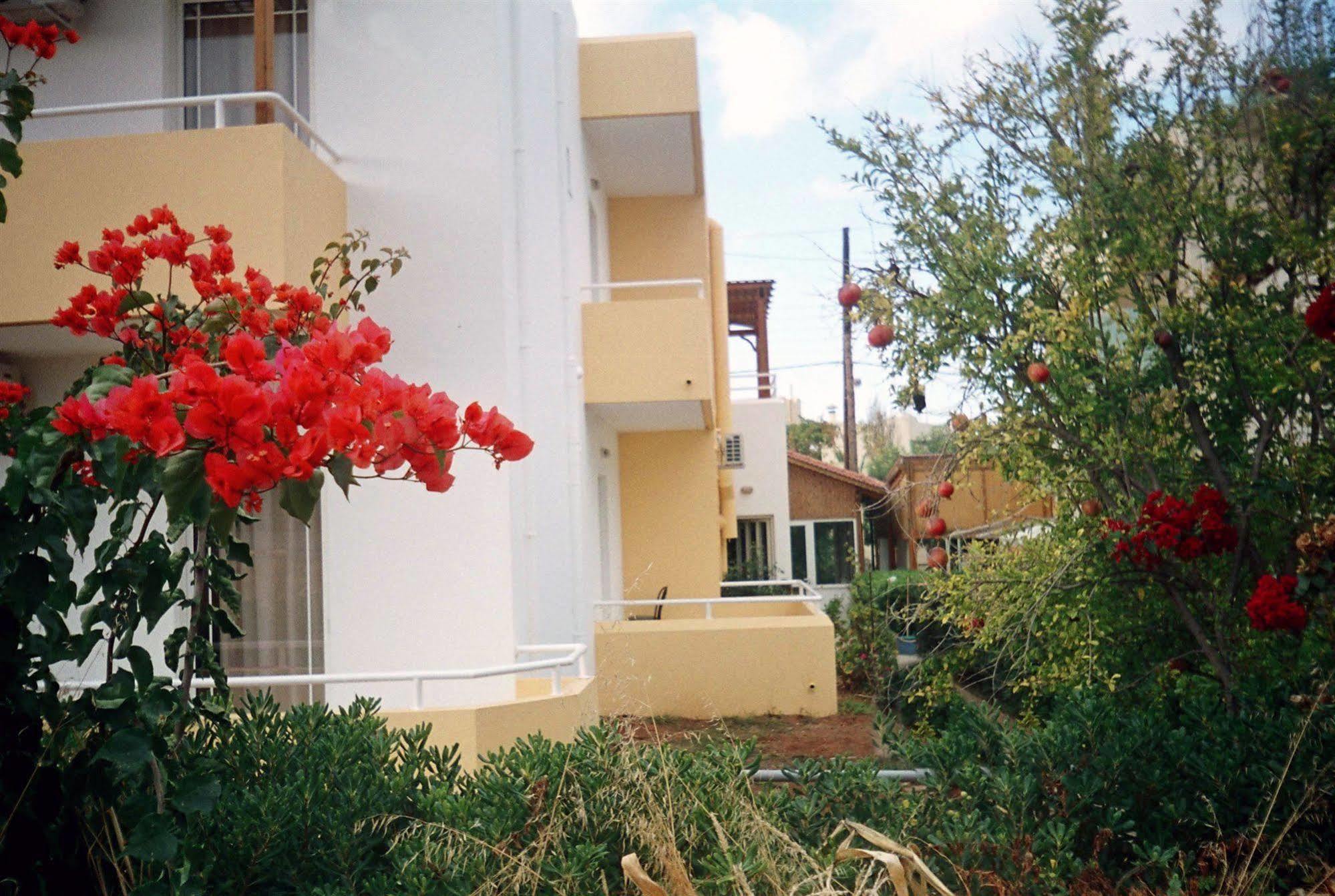 Dimitra Apartments Gouvai Exteriör bild